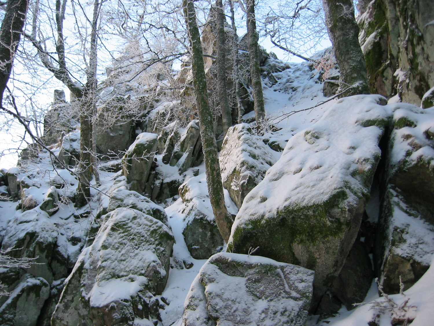 Spitzkopf : mi-bois mi-roche