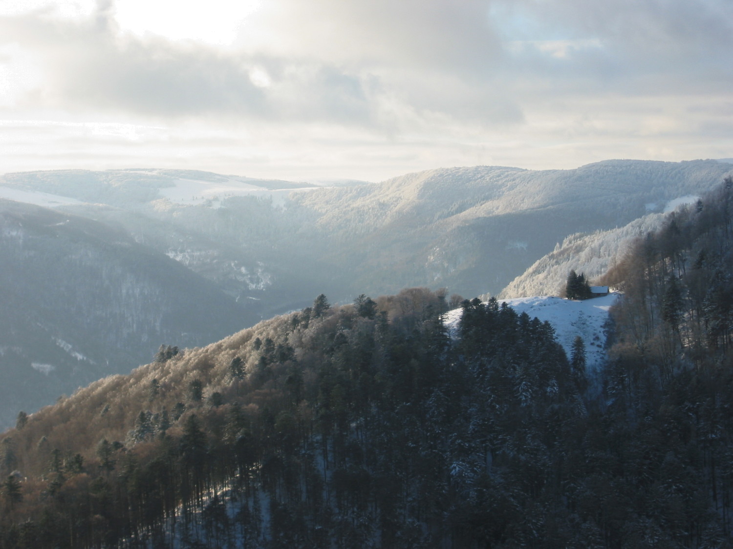 Vue vers le Markstein depuis les Spitzkopf
