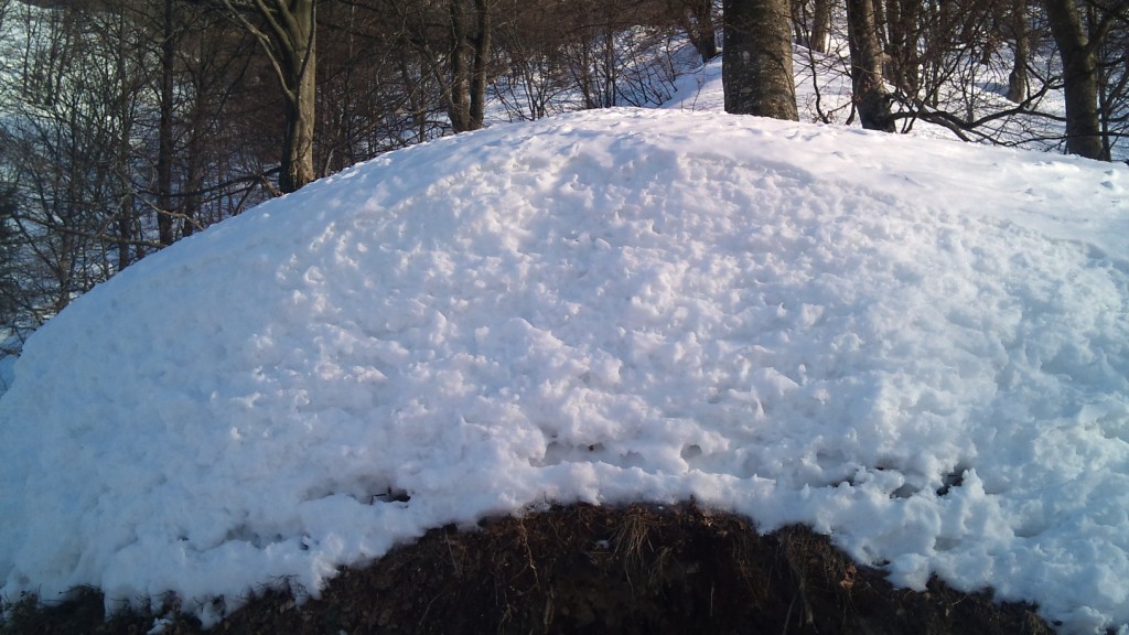 NEVEEEEEE