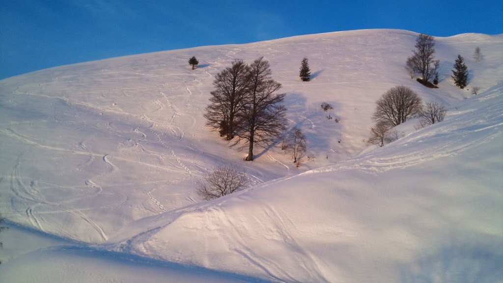 firma sulla neve