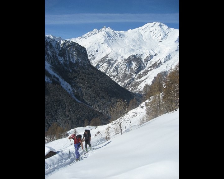 Montée à l'alpage de Bréonaz