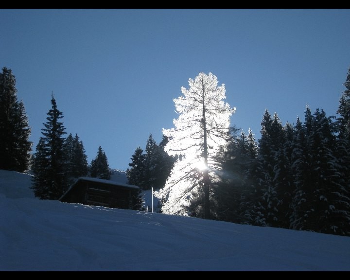 Au départ, magie de la nature
