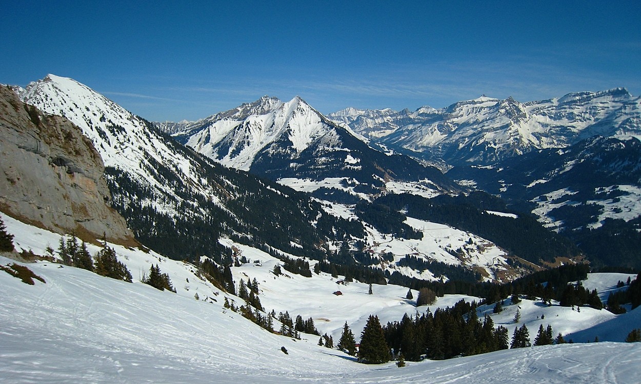 Mont d'Or (G), Pic Chaussy (centre) et massif des Diablerets (au fond à D)