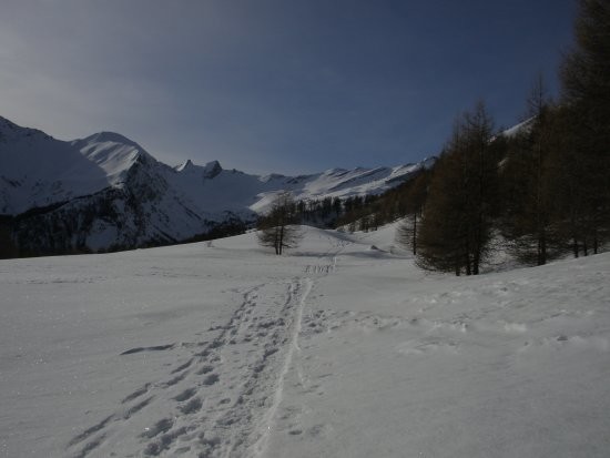 Le plan Gautier