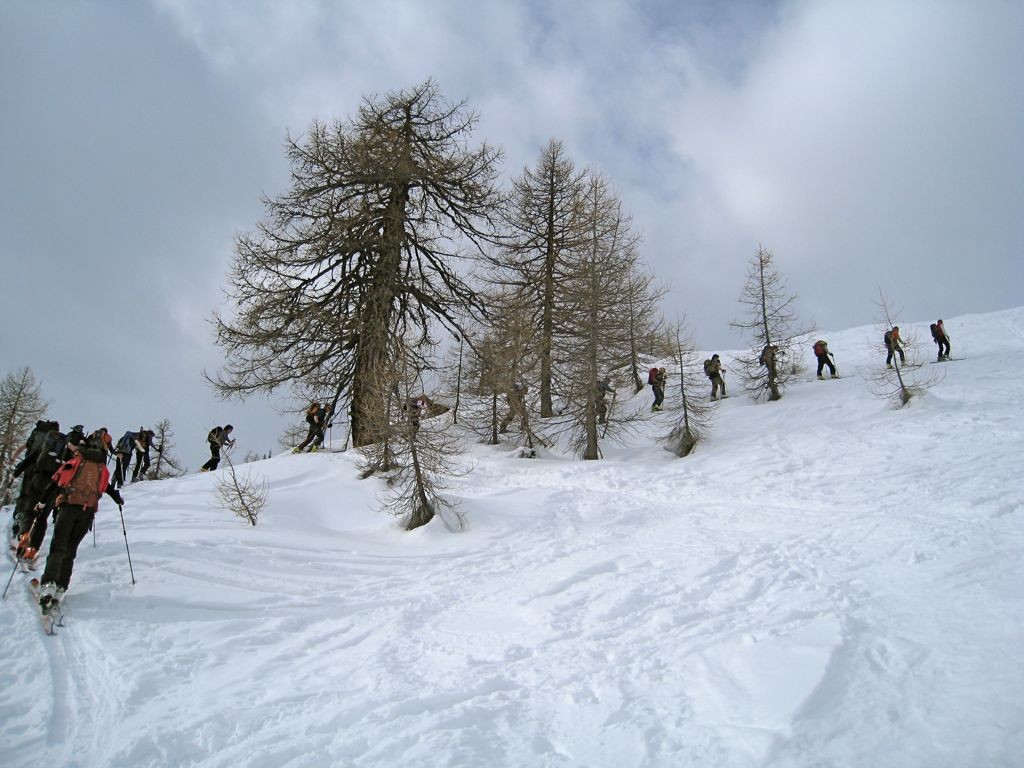 Montée dans la forêt avant la cabane Galmi..