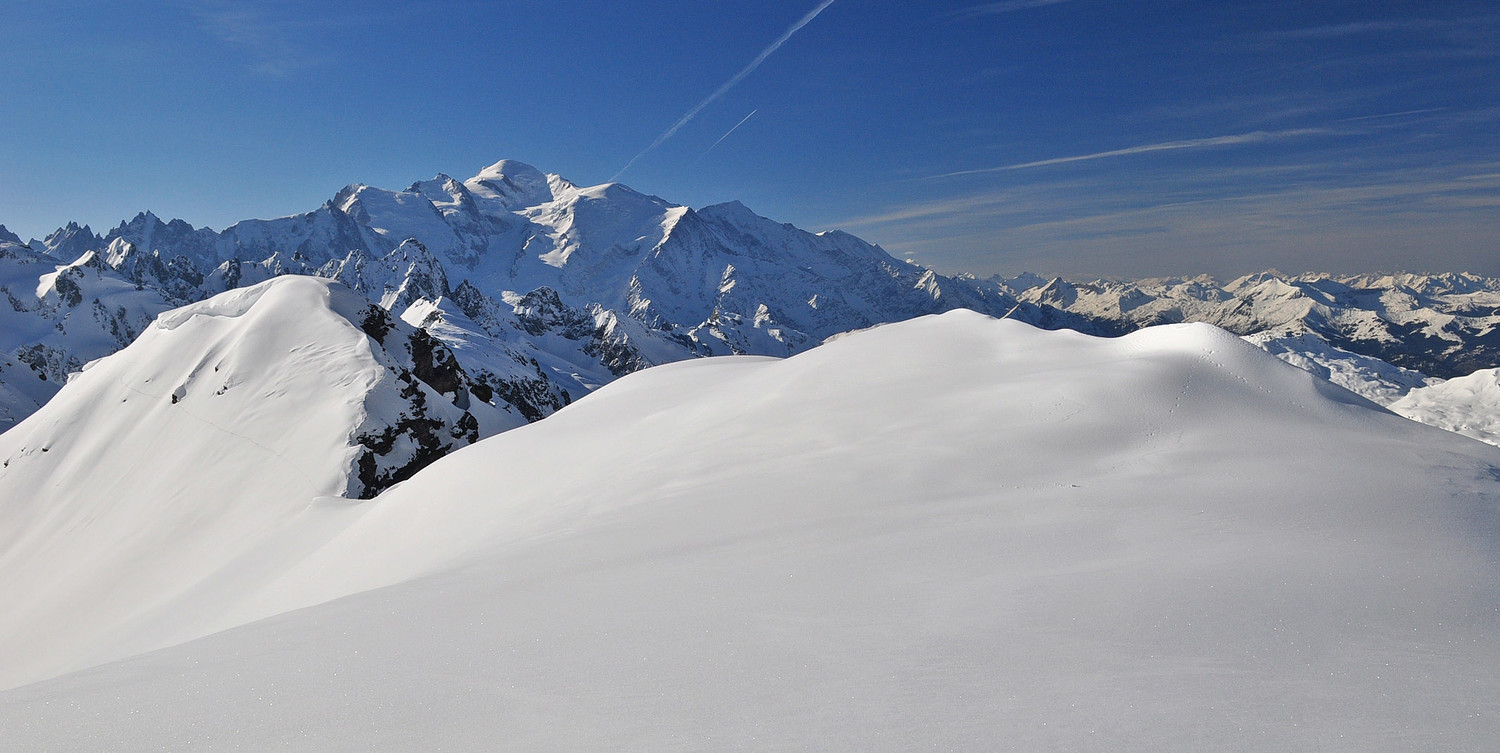 Le Monarque !