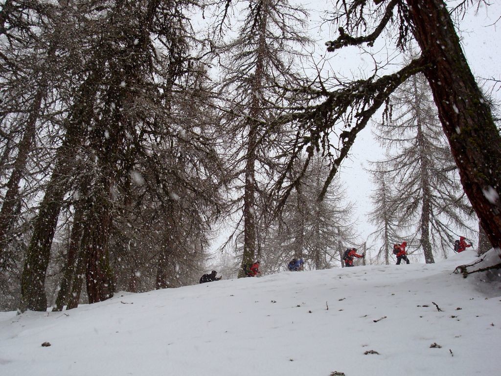Neige mêlée de pluie...