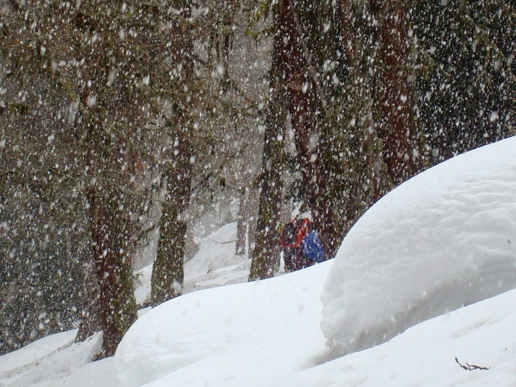 Pluie mêlée de neige...