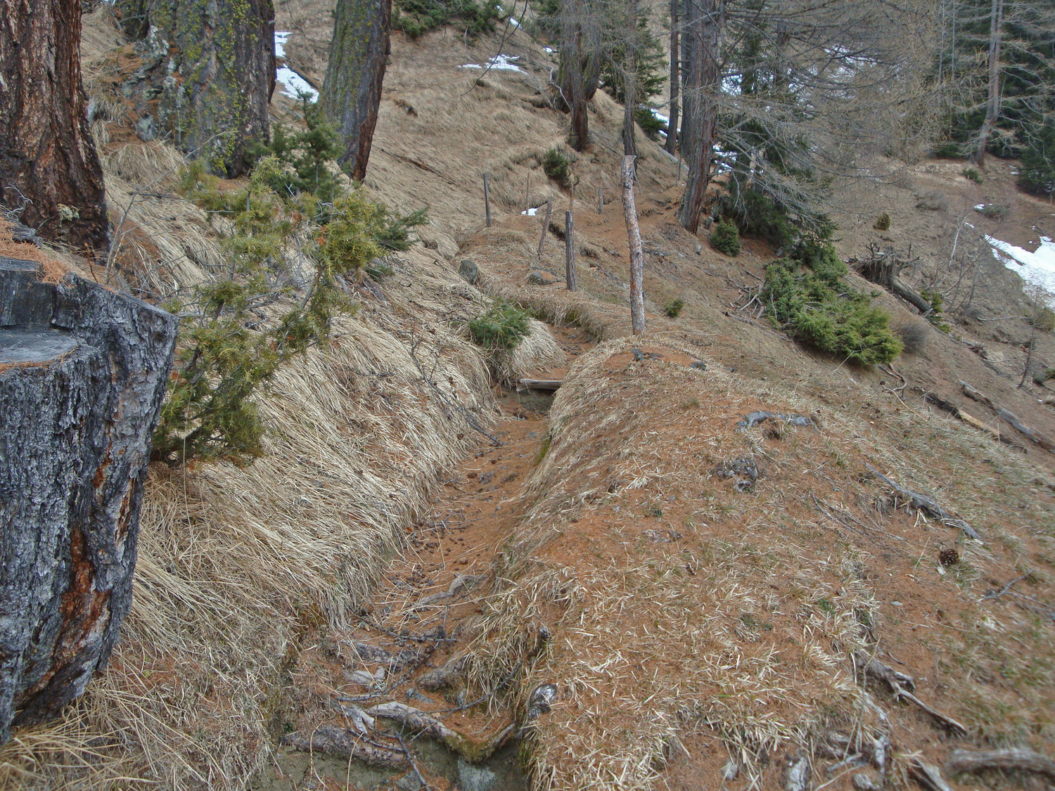 Bisse de Eisterli