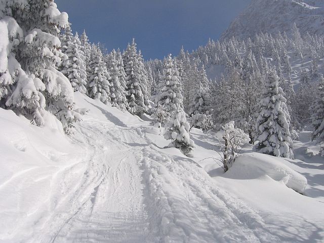 La Jasse Fev 2010 : SnowMax / Modif test pour TF