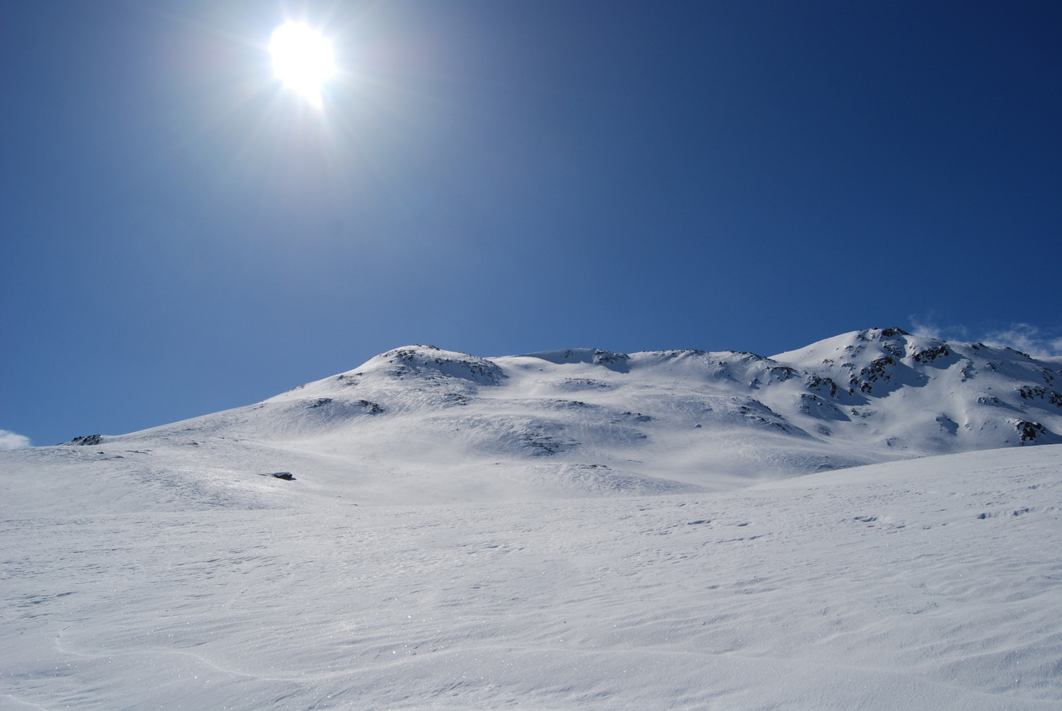 I pendii superiori in parte ripidi al Munt Müsella 2630 m