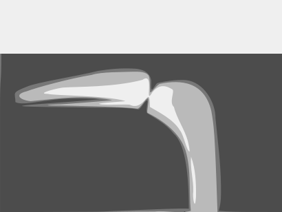 scan vectorisé