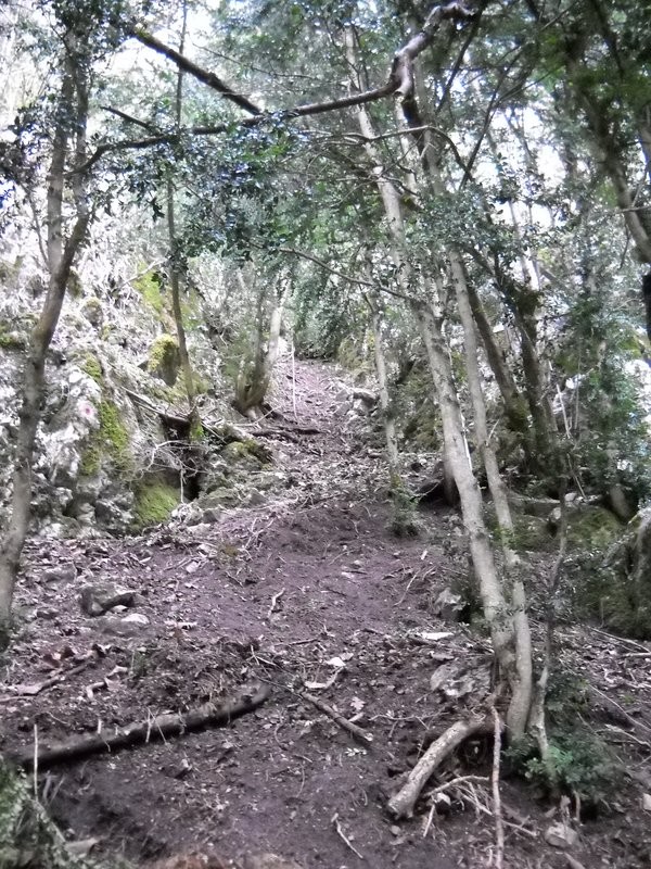 L'horrible approche... ambiance "blairwitch" !