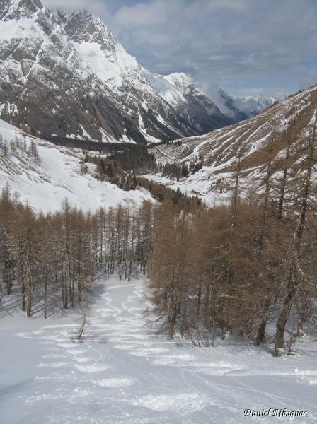 Descente dans la forêt au dessus de Létemaire