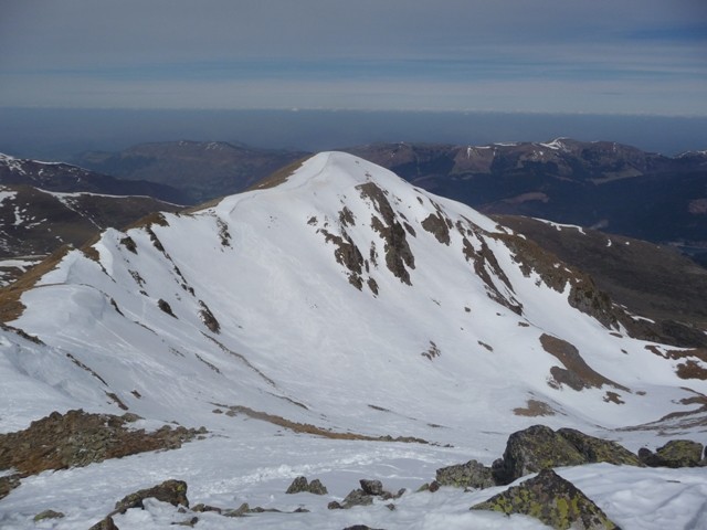 Le coste oueillère