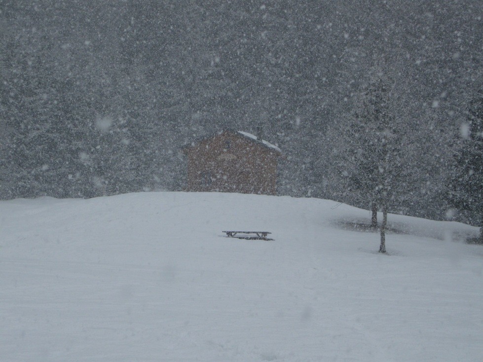 Refuge sous la neige