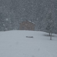 Refuge sous la neige
