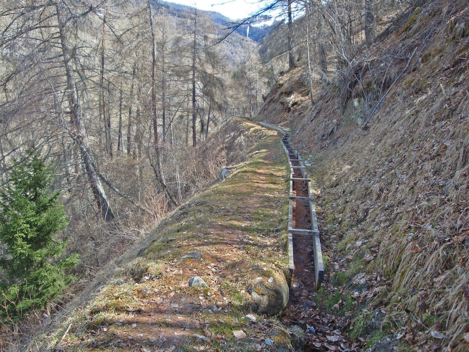 Bisse d'Ossona