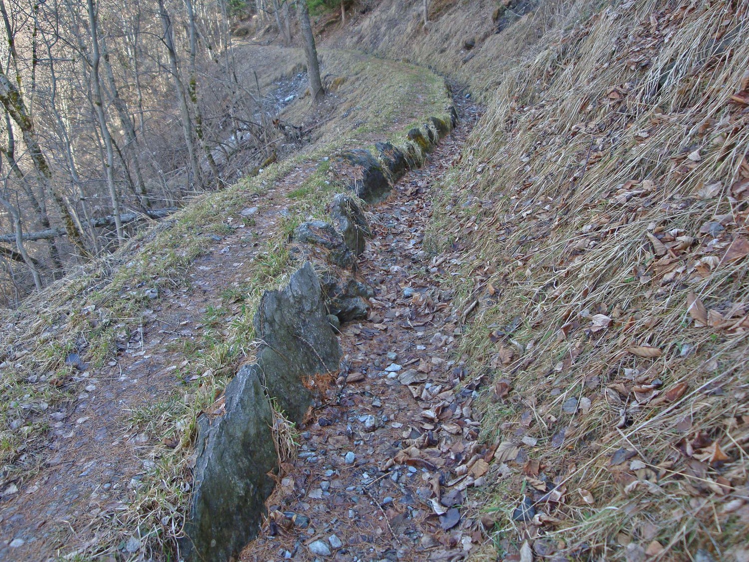 Ossona