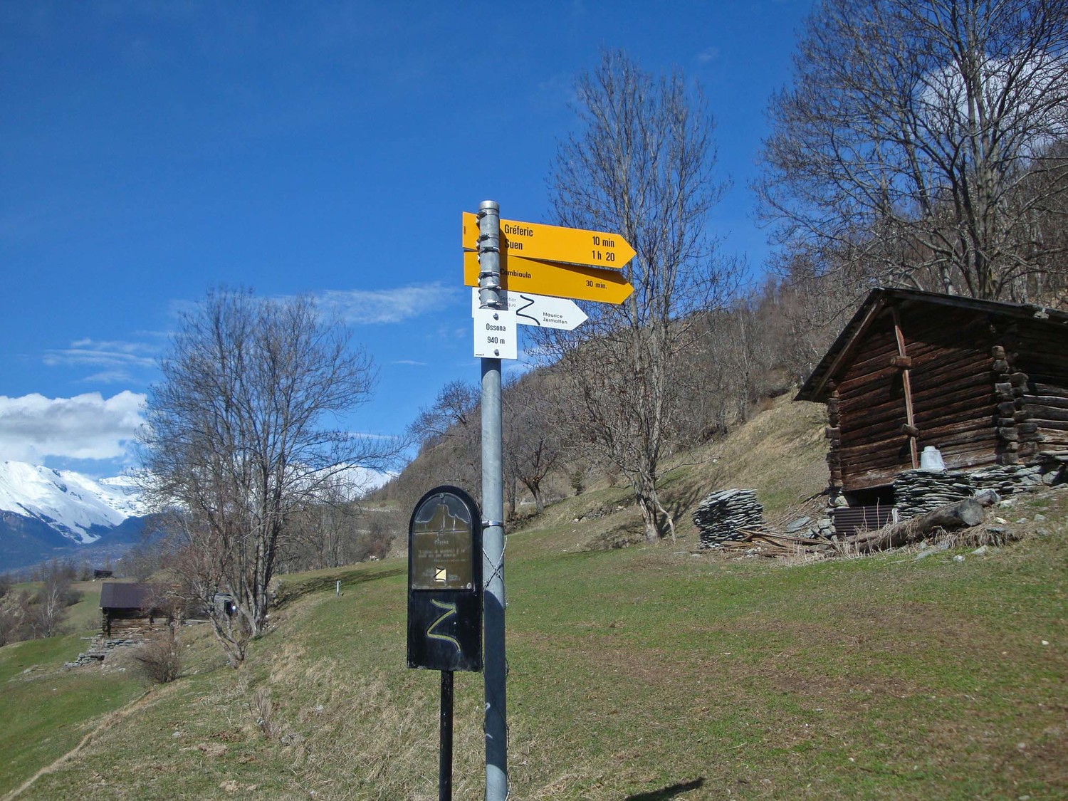 Ossona