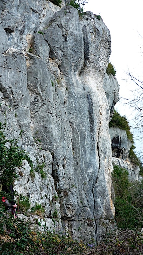 Neuville sur Ain 4