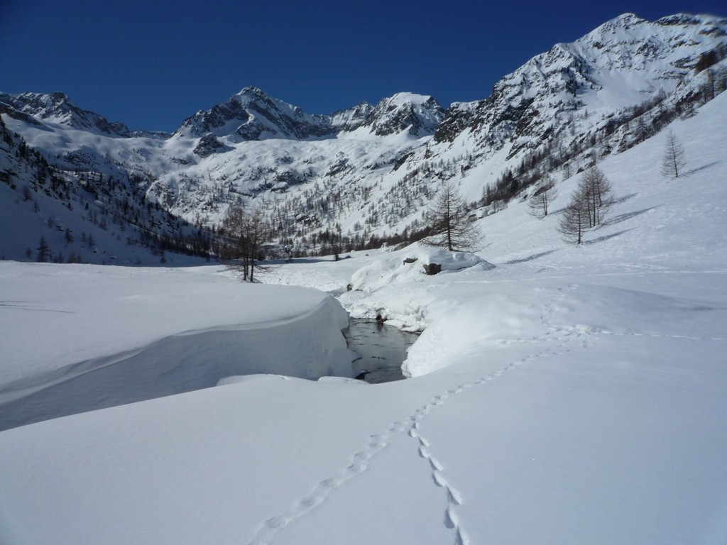 il piano del valasco