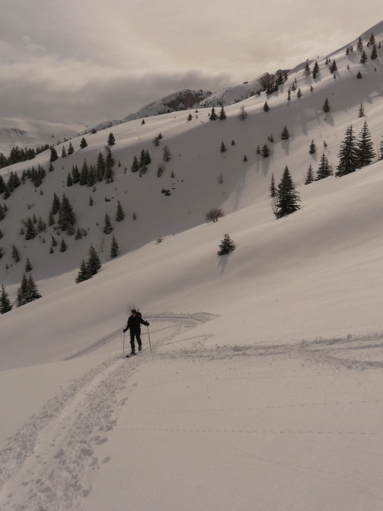Dans la Combe de Corne