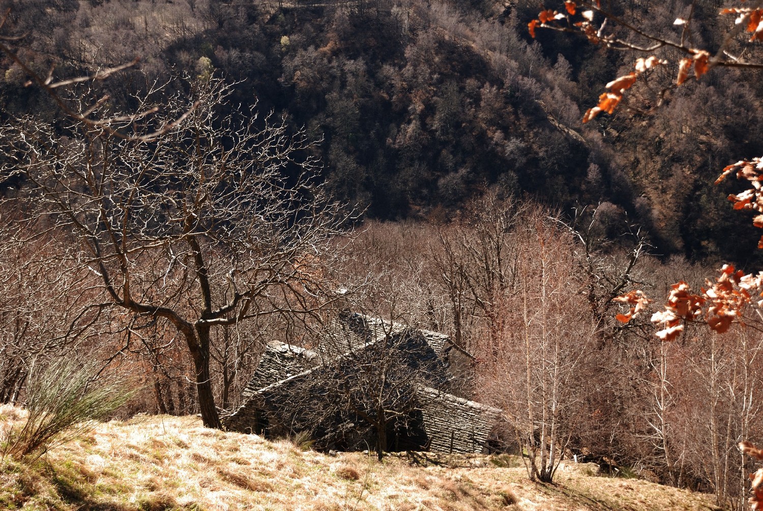 Sur le balcon du Val Vigezzo, près de l'Alpe Travello