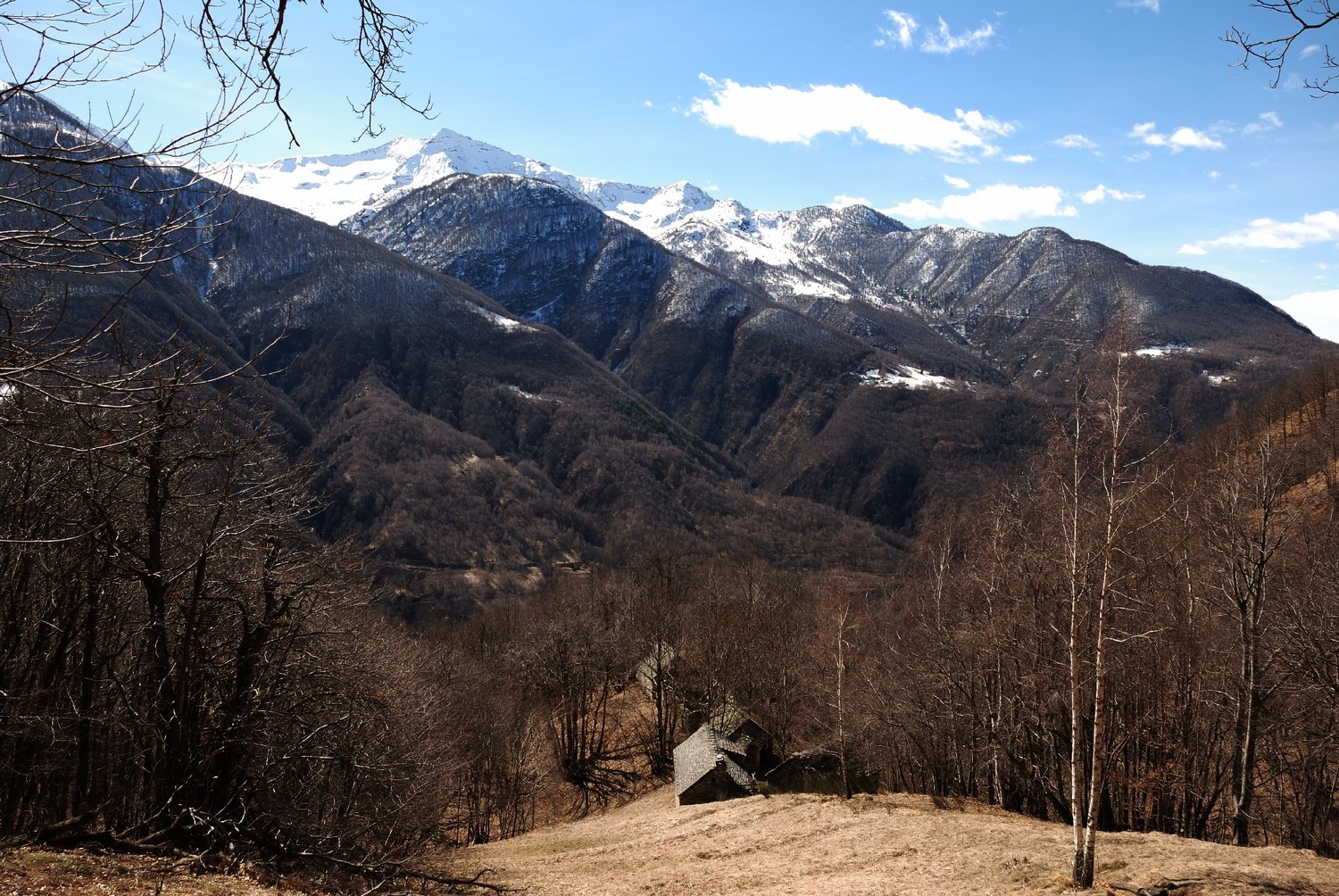 Sur le balcon du Val Vigezzo, au fond les sommets du PN du Val Grande