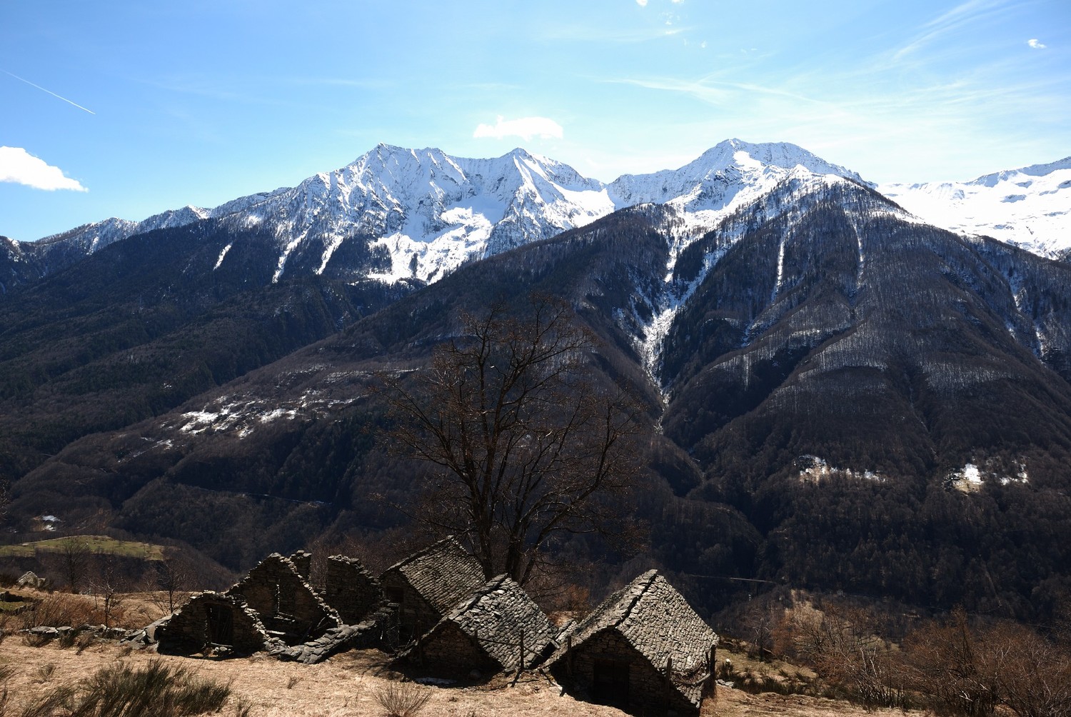 Alpe Travello (Val Vigezzo, Ossola), au fond les sommets du PN du Val Grande