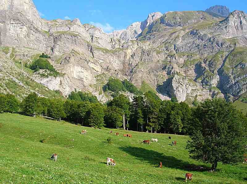 le chemin passe dans cette falaise, sur la droite