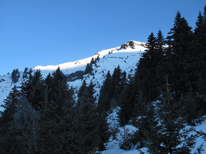 Char de la Turche