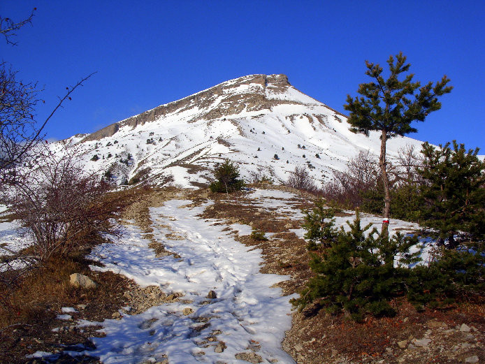 Tête des Ormans