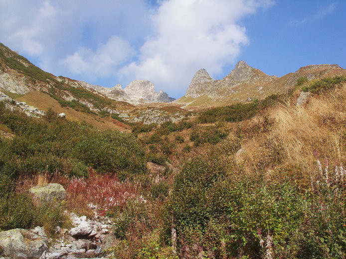 Vallon de la Valette