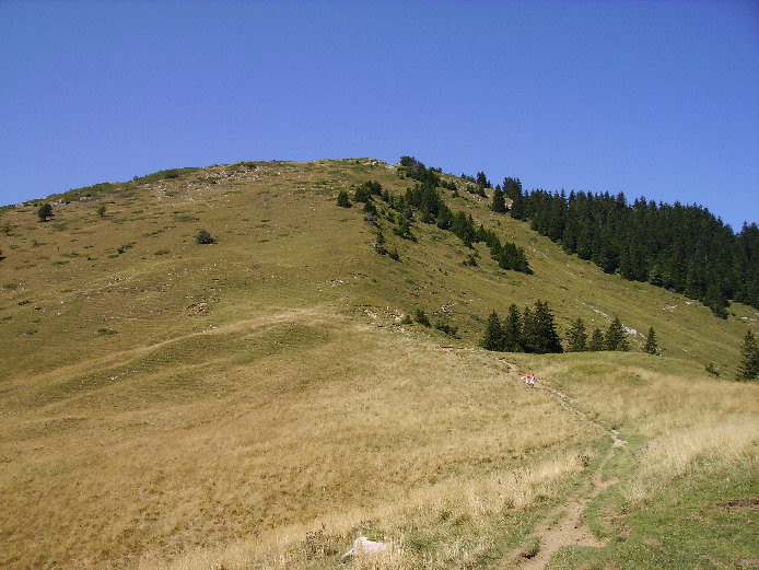 Pravouta