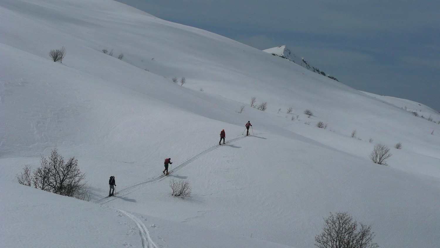 Doux paysages du Camputile