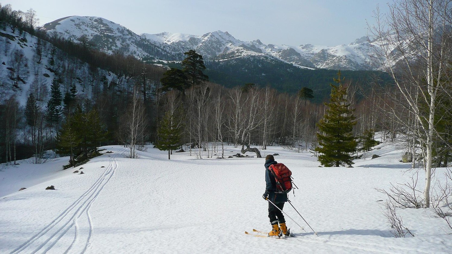retour en Forêt