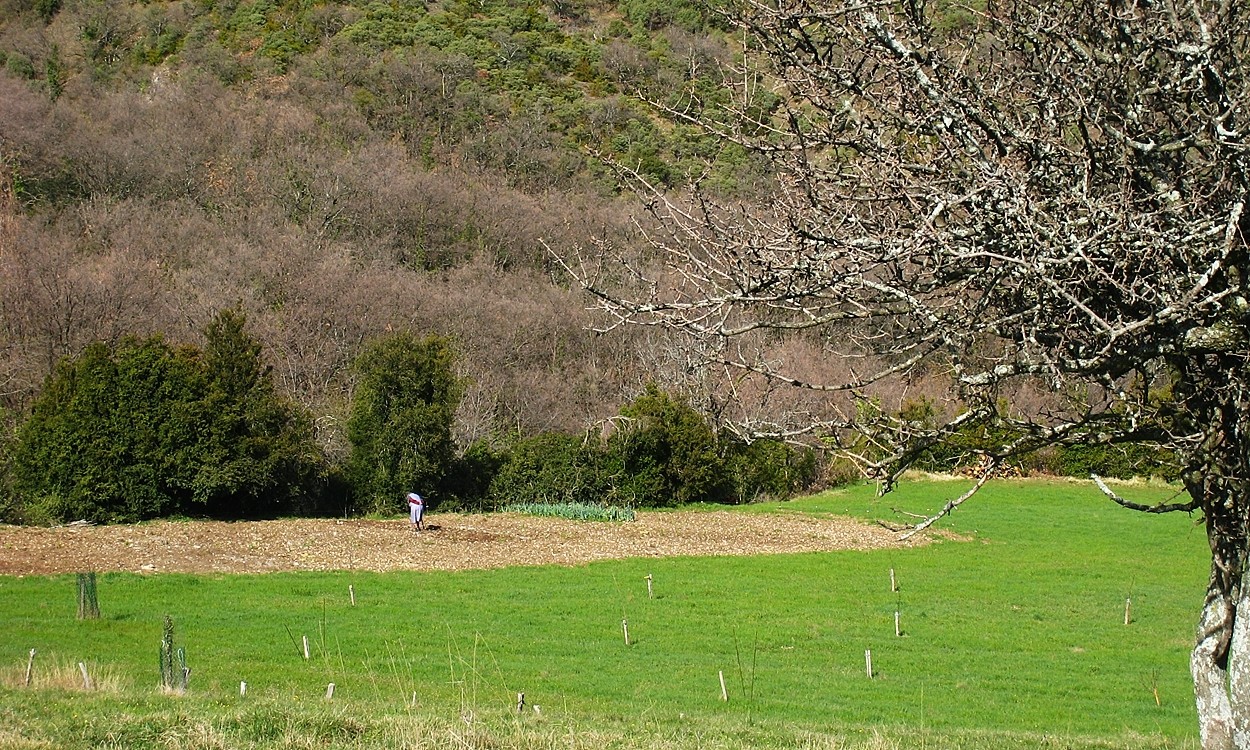 préparation du potager