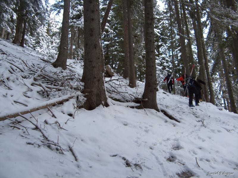 Après Le Tailon, portage sur le chemin d'été