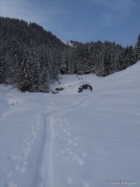 La belle clairière de Le Tongne