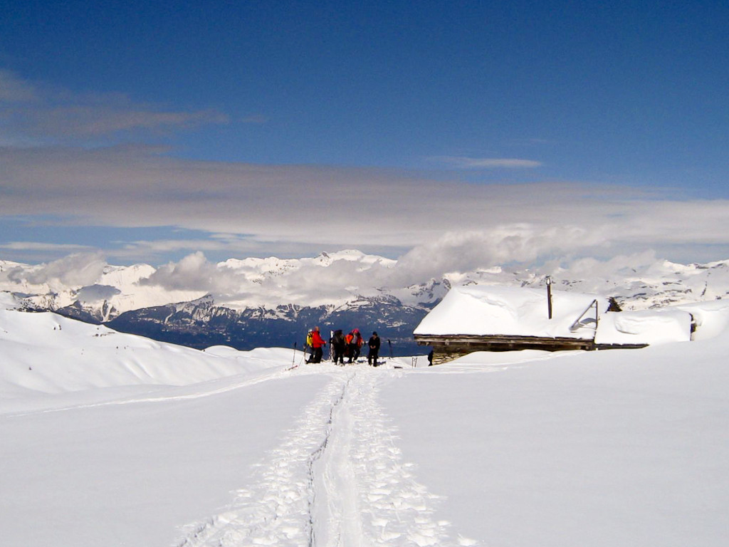 Cabane de chasseur...
