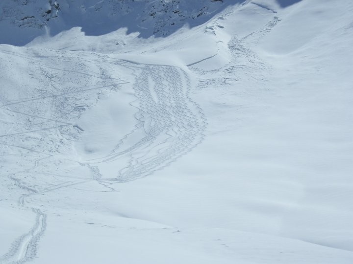IL FRONTE DELLA VALANGA