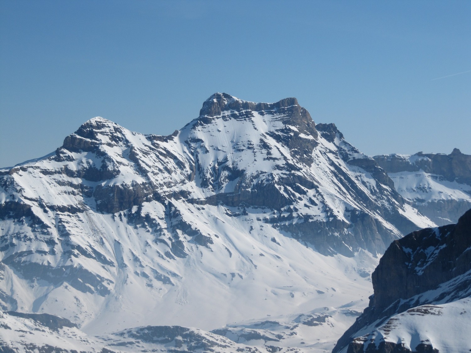Le voisin
