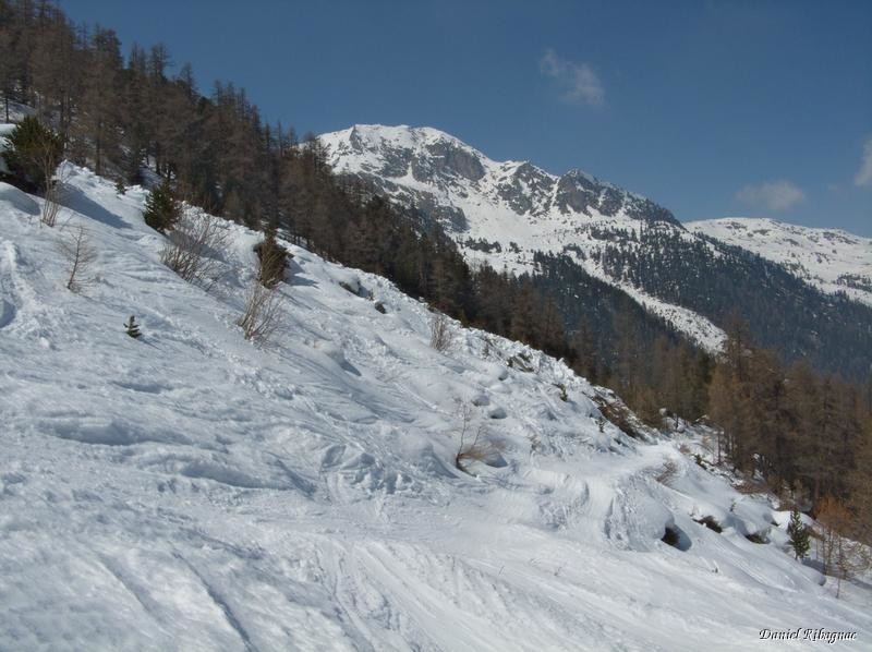 Descente rive gauche pour rejoindre les pistes de Siviez