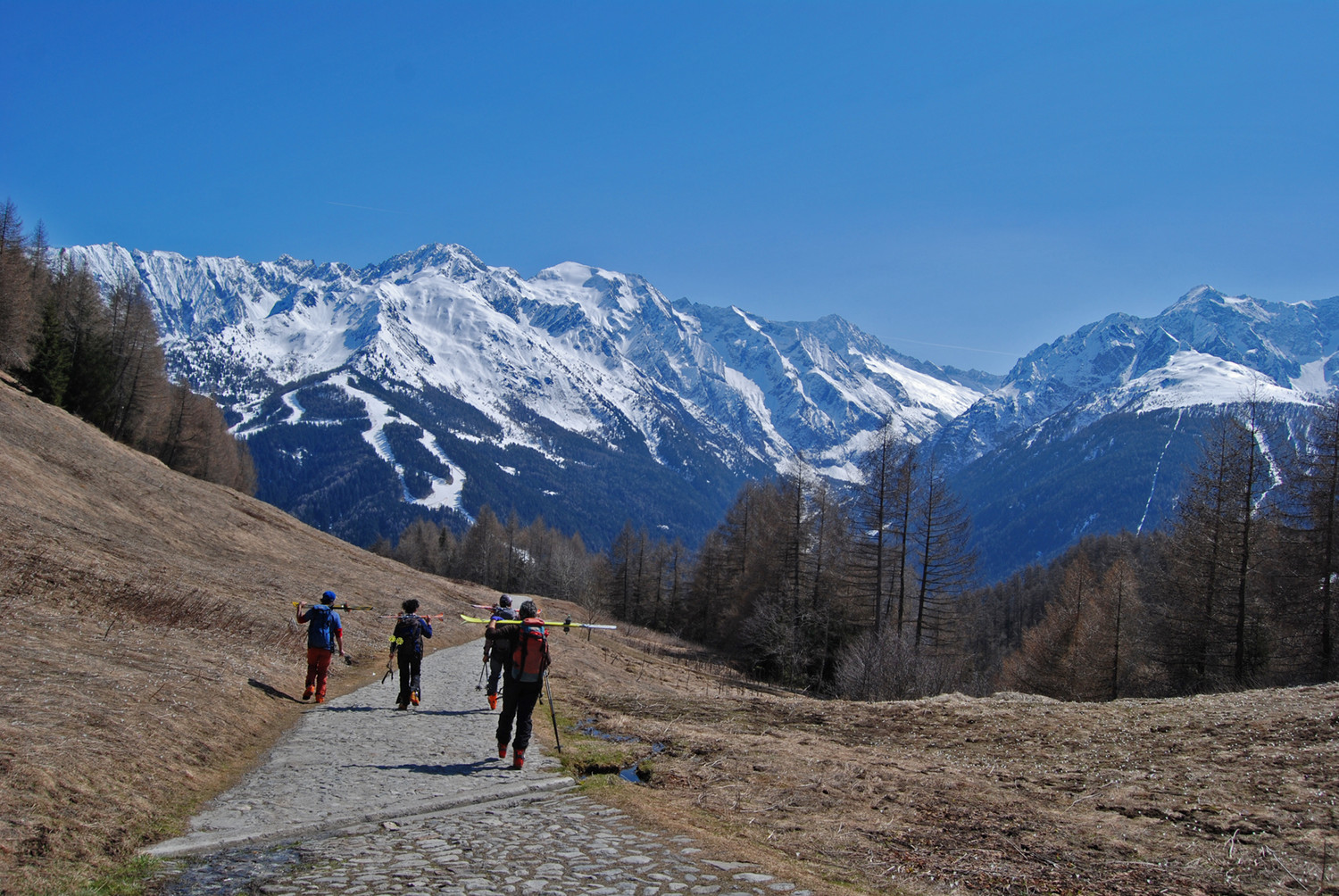 In uscita dalla Val Canè con le cime di Salimmo 3115 m, Calotta 3211 m e dell'Adamello 3554 m.