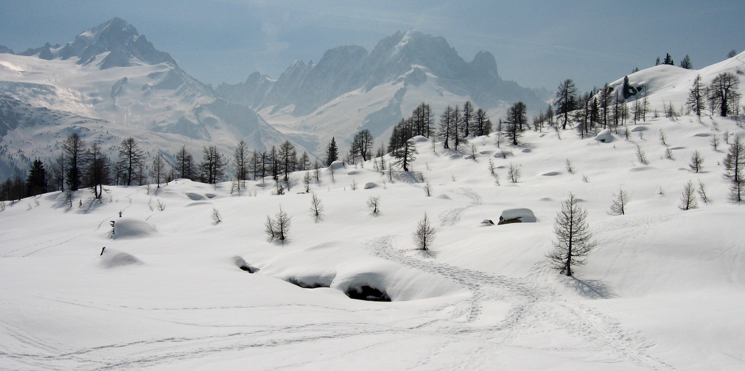 Joli plateau