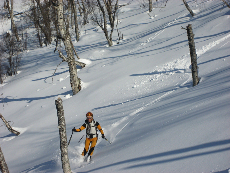 Descente dans la forêt