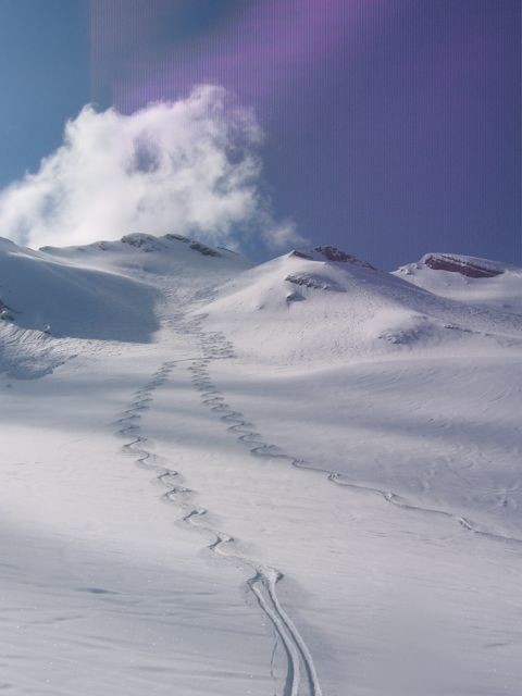Descente Tête Pelouse