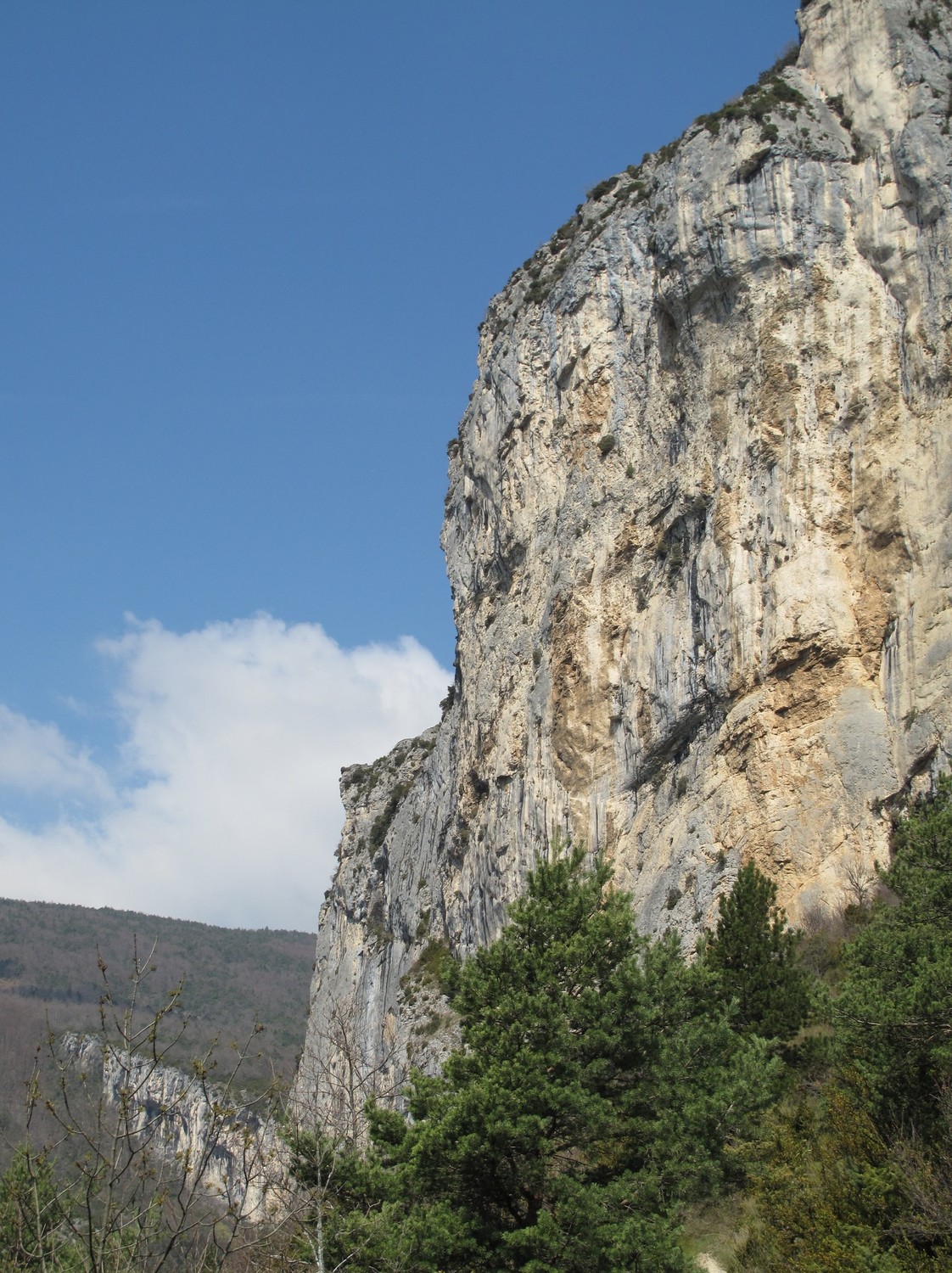 Falaise