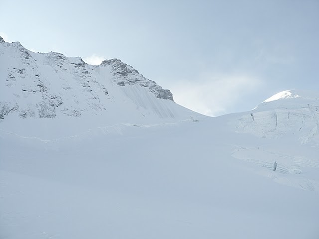 Rimpfschhorn